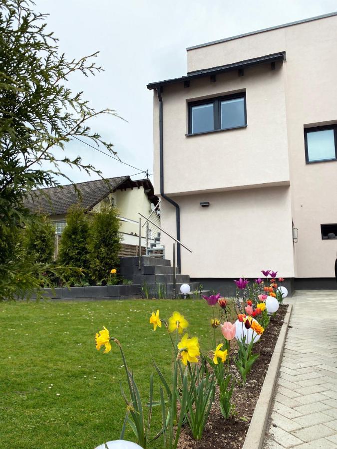 Sonnenlay Lounge - Studio & Ferienhaus Brauneberg Bagian luar foto